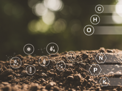 imagem_2022-07-28_141946588