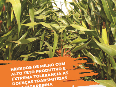 imagem_2022-07-28_144318203