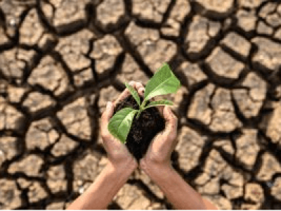 imagem_2022-08-01_112316202