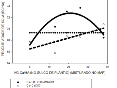 imagem_2022-08-29_133428159