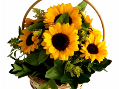imagem_2022-09-26_084229790