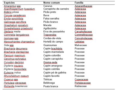 imagem_2022-10-03_105537022