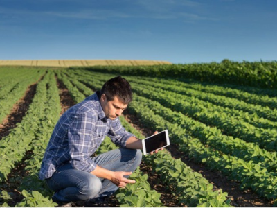 imagem_2022-10-17_090205793