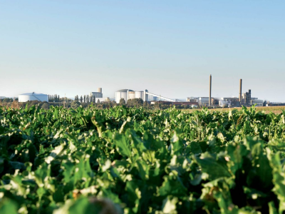 imagem_2022-11-04_142753056