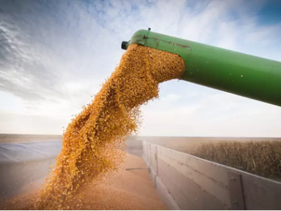 imagem_2022-11-23_133140174