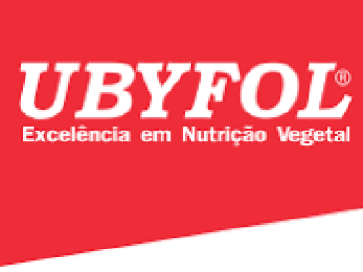 imagem_2022-12-05_110643275