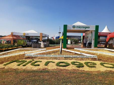 imagem_2023-02-09_132428135