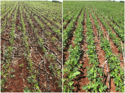 imagem_2023-02-14_110425801