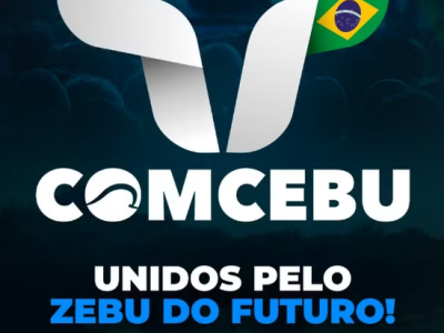 imagem_2024-04-16_154954076