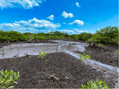 imagem_2024-04-16_155915566