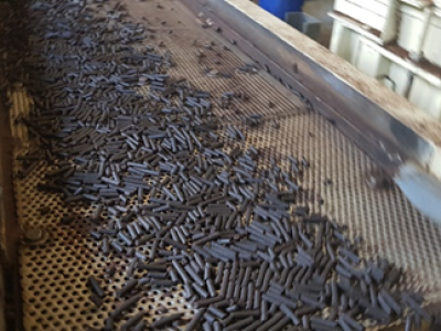 imagem_2024-05-21_131907589