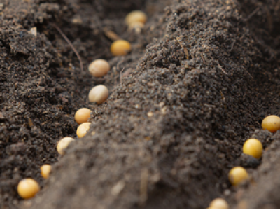 imagem_2024-05-22_140910193