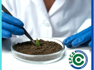 imagem_2024-06-24_155030228