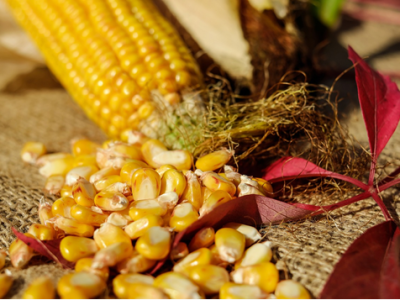 imagem_2024-07-01_104932926