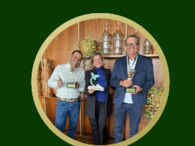 imagem_2024-07-08_153219503