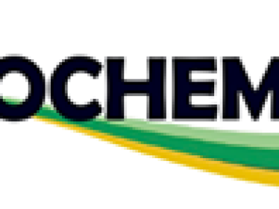 imagem_2024-07-17_125736434