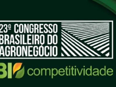 imagem_2024-08-05_131303516