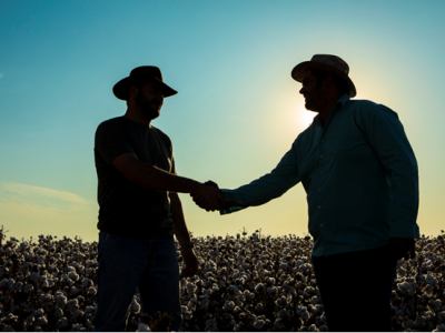 imagem_2024-08-13_093634094