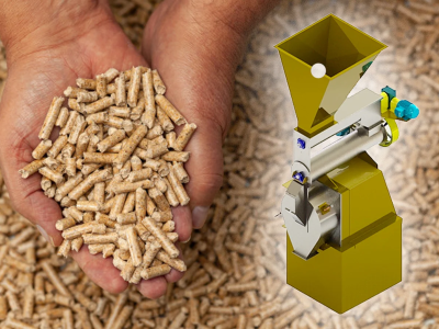 imagem_2024-09-04_092334113