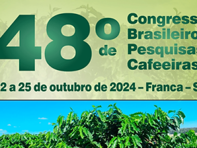 imagem_2024-09-16_083632750