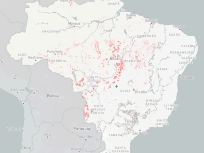 imagem_2024-10-14_082323129