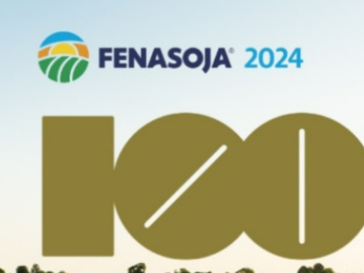 imagem_2024-10-24_144151723