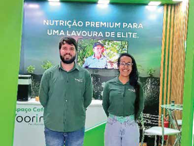 imagem_2024-11-04_112413815