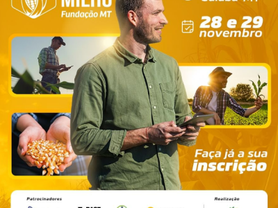 imagem_2024-11-13_164827363