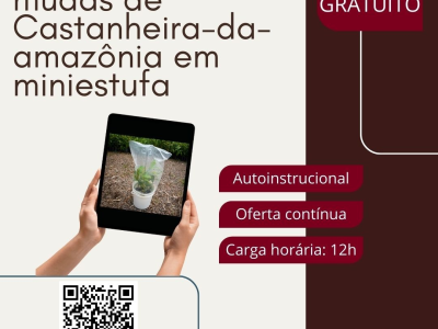 imagem_2024-11-19_085121934
