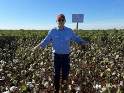 imagem_2025-03-11_140806592