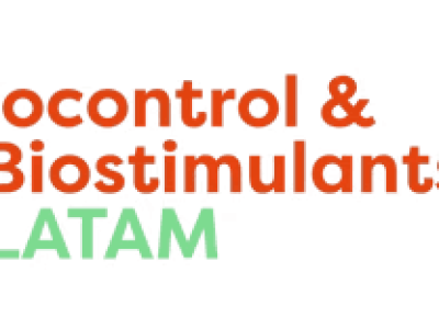 imagem_2025-03-27_134809979