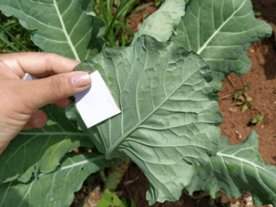 imagem_2025-04-01_012005084