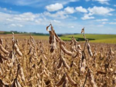 imagem_2025-04-16_093633584