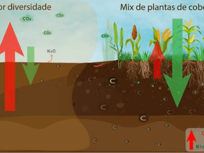 imagem_2025-05-06_141654574