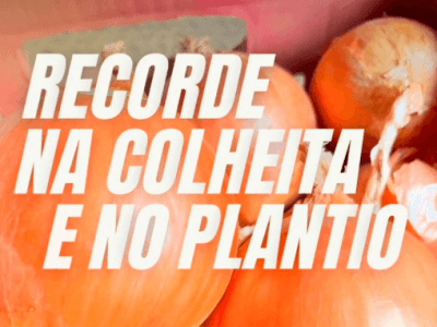 imagem_2025-05-08_081611496