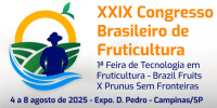 imagem_2025-06-02_105305580