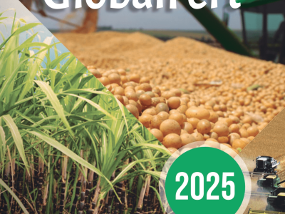 imagem_2025-06-02_150311997