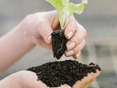 Mecplant na hortitec 2025