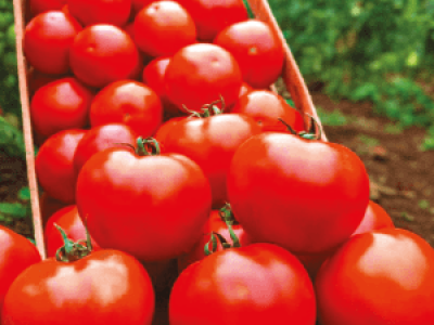 imagem_2025-06-18_145501890