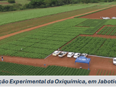 imagem_2025-07-18_131002829