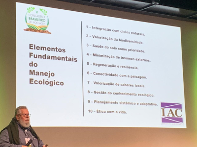 imagem_2025-07-21_092400312