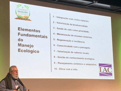 imagem_2025-07-21_092400312