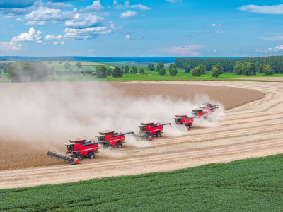 imagem_2025-07-28_085330955