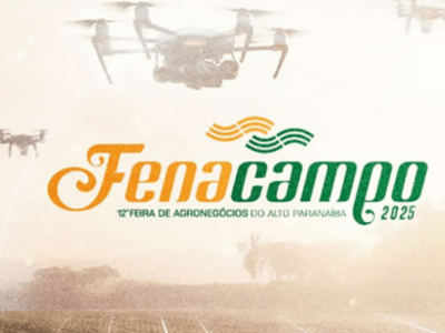 imagem_2025-07-31_135425529