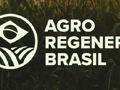 imagem_2025-07-31_135713489