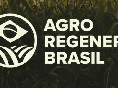 imagem_2025-07-31_135713489