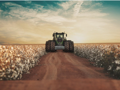 imagem_2025-11-19_153623215