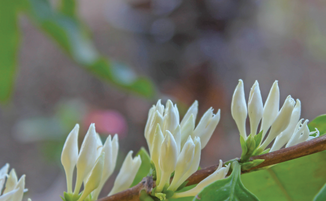 imagem_2025-12-10_135311895