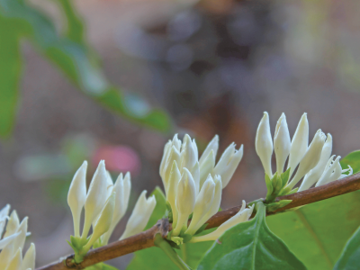 imagem_2025-12-10_135311895