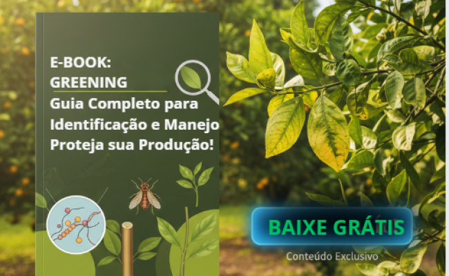 imagem_2026-01-19_110021128